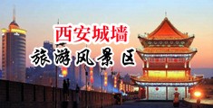浓毛淫妇骚逼肉欲求操yyxy片中国陕西-西安城墙旅游风景区