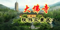 插干骚逼视频中国浙江-新昌大佛寺旅游风景区